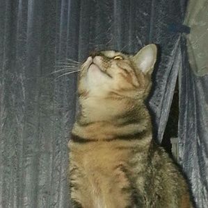 Meet your Posher, Duyen